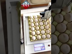 작은 계란 잉크젯 프린터 Xy 축 지능형 계란 잉크젯 프린터 완전 자동