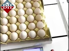 작은 계란 잉크젯 프린터 Xy 축 지능형 계란 잉크젯 프린터 완전 자동